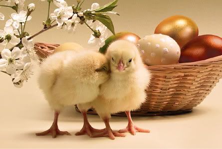 chicks cuddling photo: Happy Easter easter2.jpg