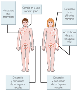 CARACTERES