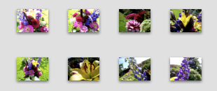 Upload iPhoto albums to Picasa