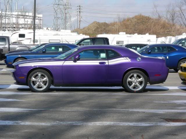 Purple Challenger