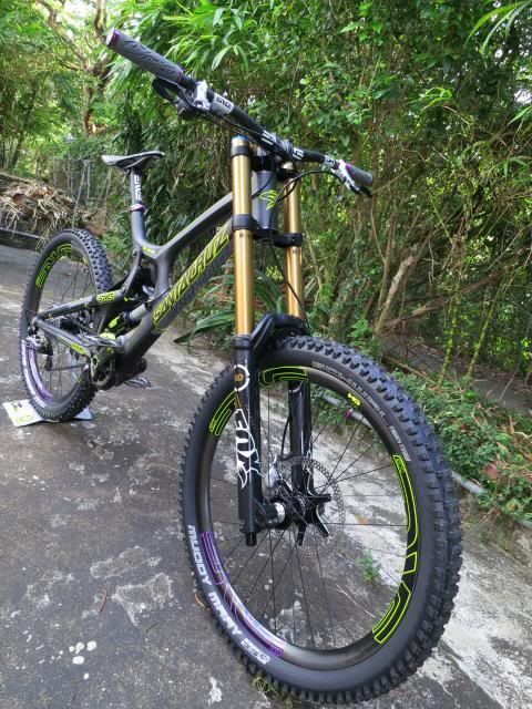 custom santa cruz v10