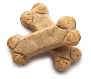 iStock_dogbicuits.jpg