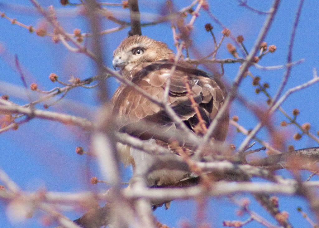 IMAGE: http://i730.photobucket.com/albums/ww304/snark97/IMG_2861_edited-1.jpg