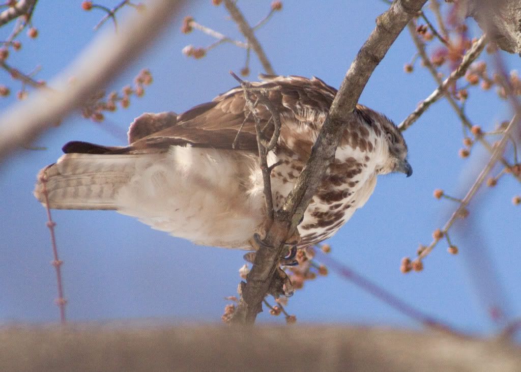 IMAGE: http://i730.photobucket.com/albums/ww304/snark97/IMG_2884_edited-1.jpg