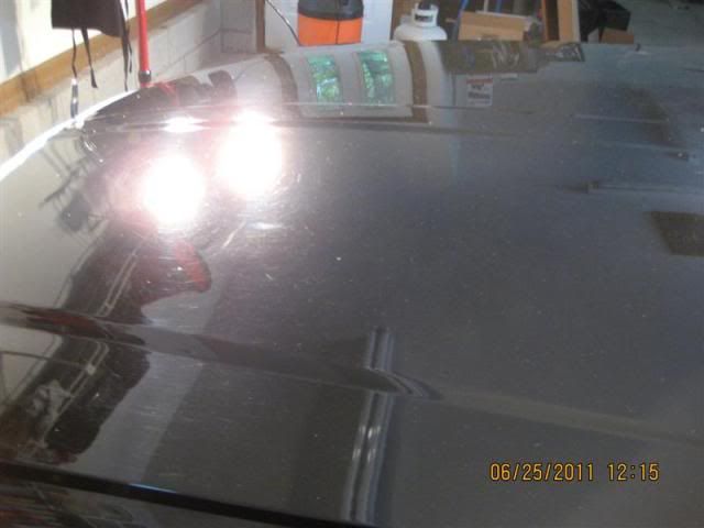 IMG_0037Medium.jpg