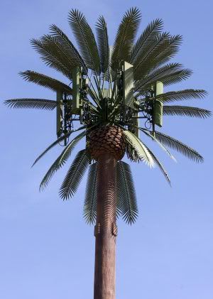 cell-phone-palm-tree.jpg