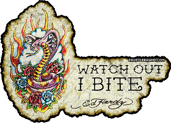 Fashion-Ed Hardy Profile Graphics and Comments