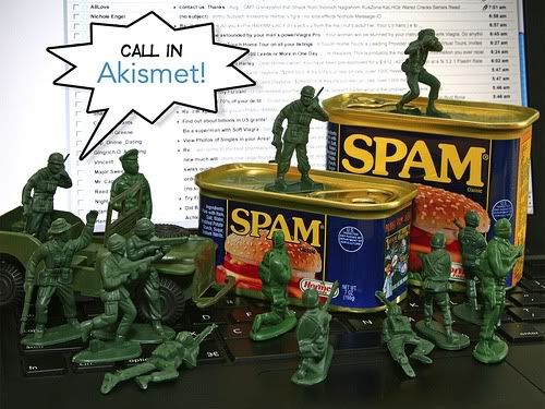 WordPress Plugins : Akismet กรอง Spam Comment image-86