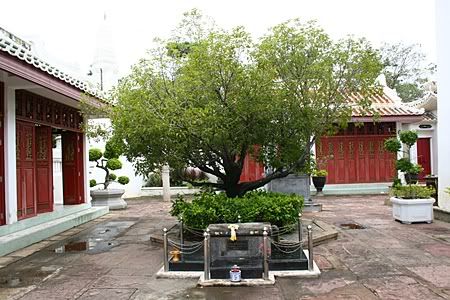 แท่นประทับใต้ต้นพิกุลของรัชกาลที่ 3