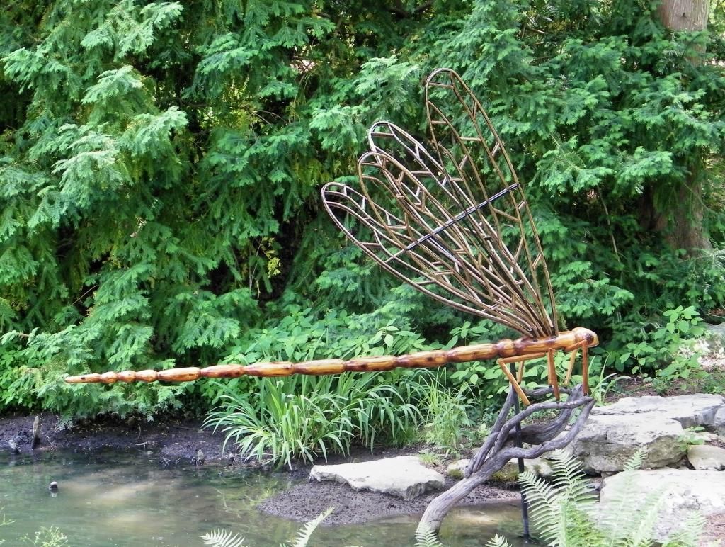 photo CheekwoodDragonflyDisplay_zpscba0fe3b.jpg