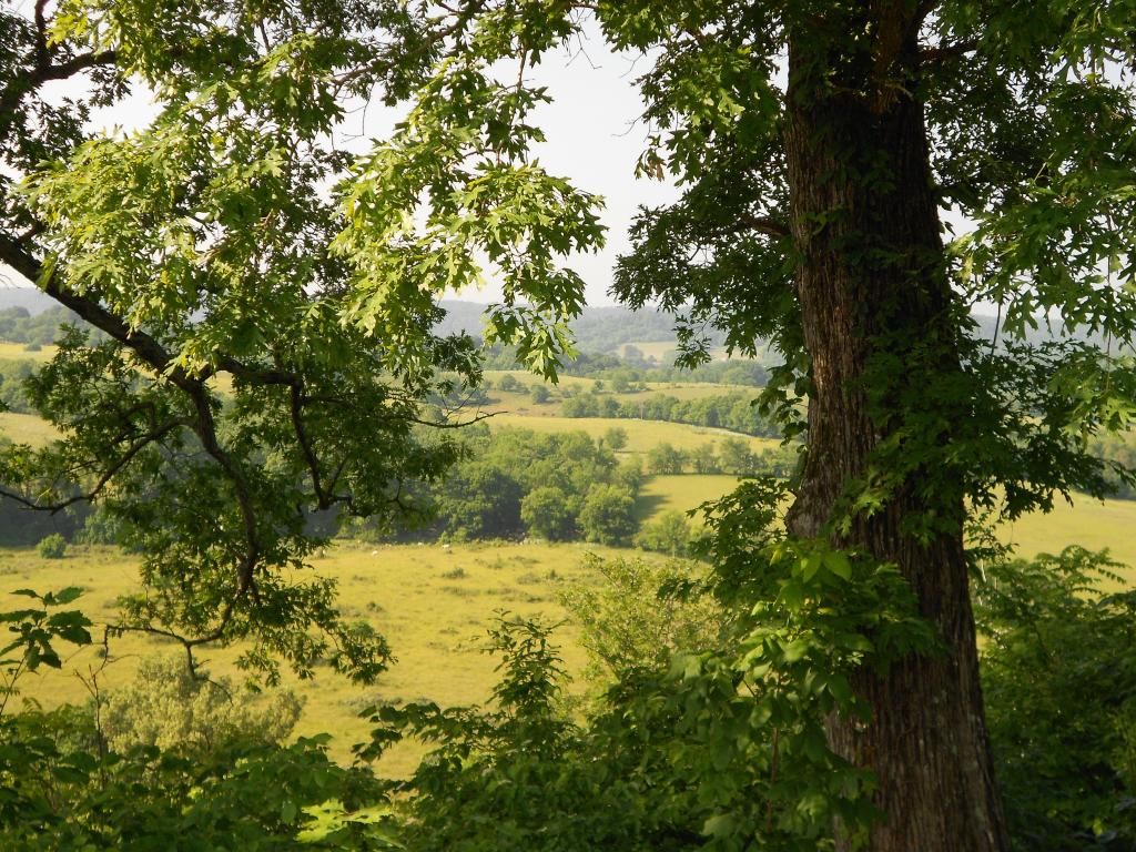 photo NatchezTrace_zps107bda2c.jpg