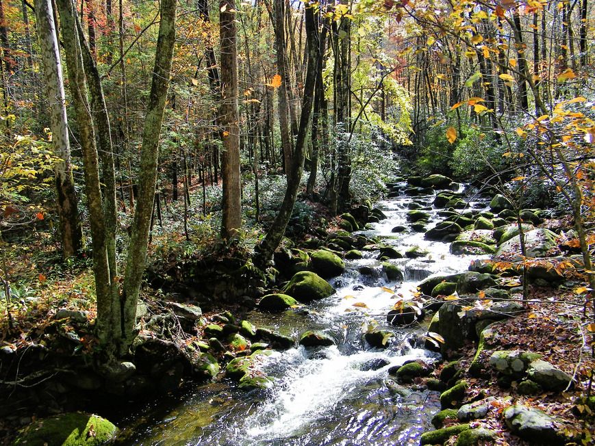 Roaring Fork, Gatlingurg, TN