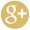Share on Google Plus