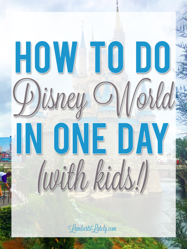 how-to-do-disney-world-in-one-day-with-kids-lamberts-lately-bloglovin