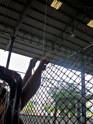 ตาข่าย ตาข่ายสนามบอล ตาข่ายสนามฟุตบอล ตาข่ายสนามฟุตซอล 7 ตาข่าย, ตาข่ายสนามฟุตบอล, ตาข่ายสนามฟุตซอล, ตาข่ายสนามบอล