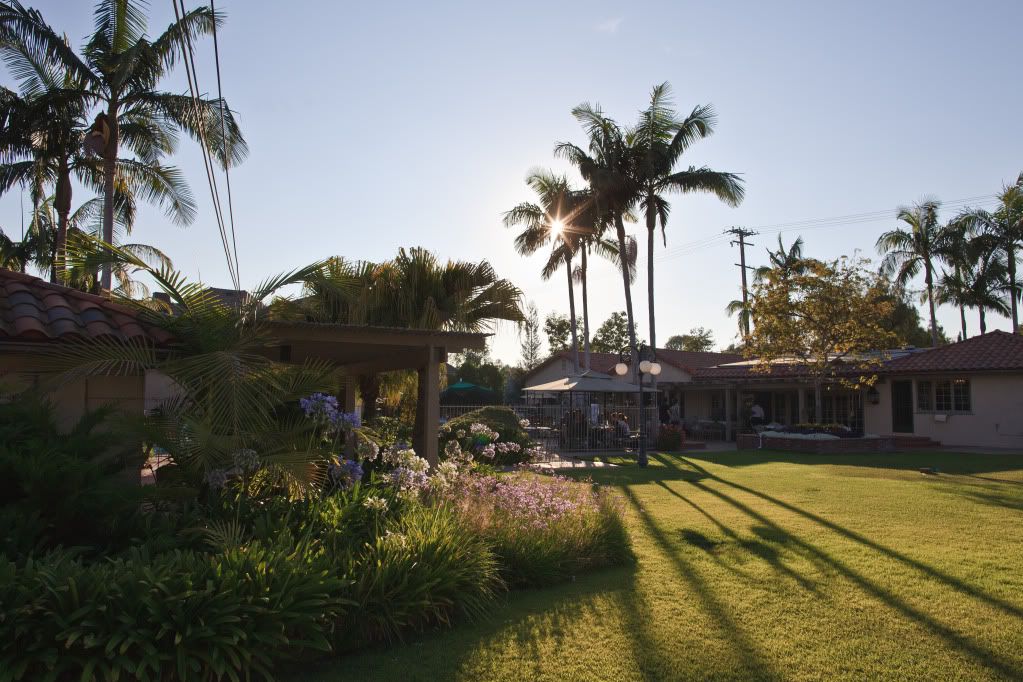 IMAGE: http://i730.photobucket.com/albums/ww307/joonrhee/IMG_4979.jpg