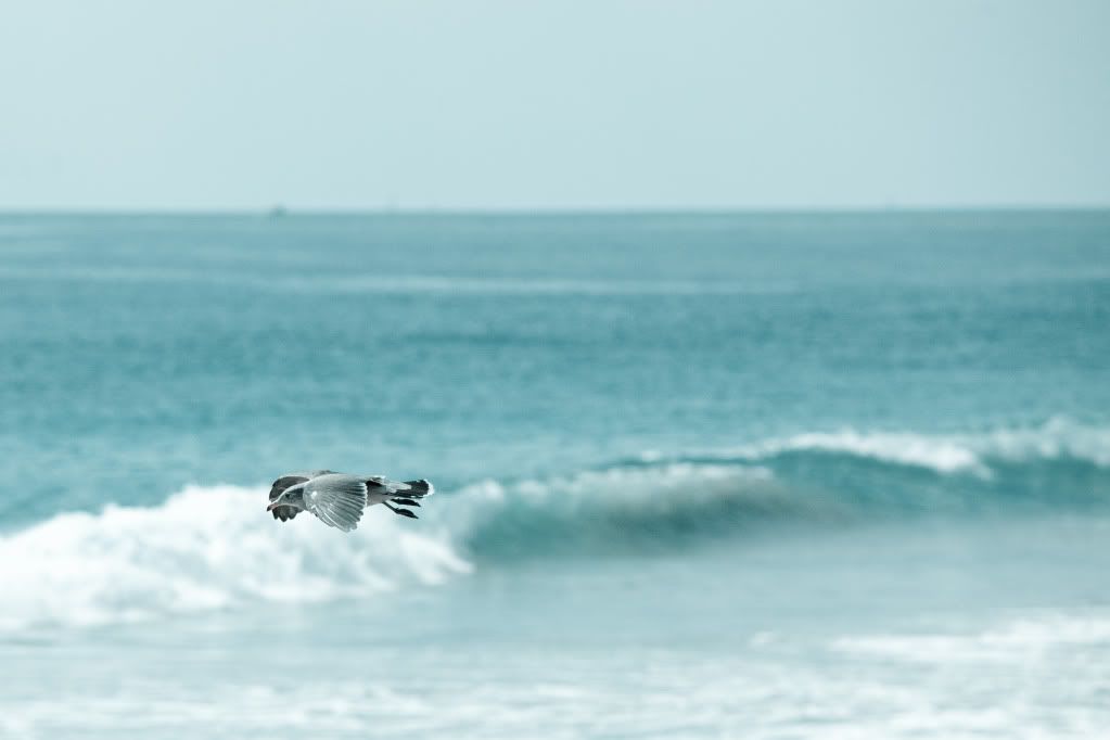 IMAGE: http://i730.photobucket.com/albums/ww307/joonrhee/IMG_6482.jpg