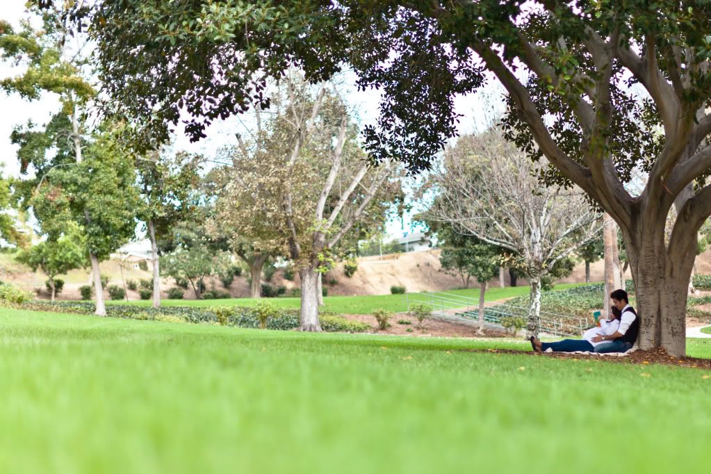 IMAGE: http://i730.photobucket.com/albums/ww307/joonrhee/IMG_9802.jpg