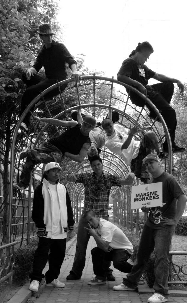 massive monkees Pictures, Images and Photos