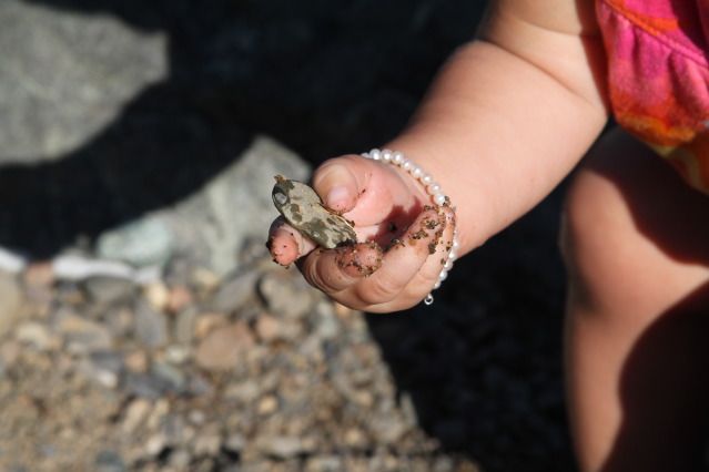 Jules loves the rocks.