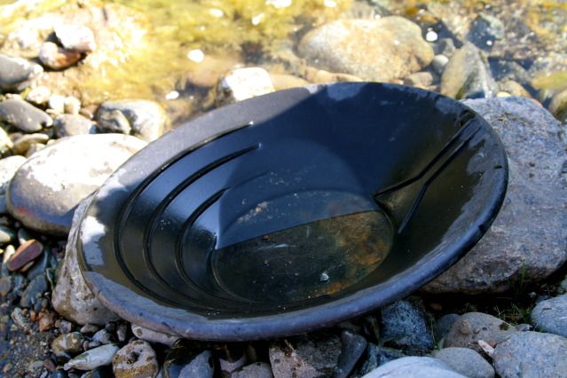 The gold pan