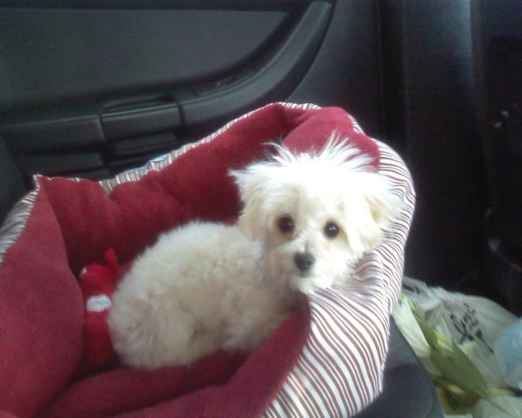 re: I Enjoy Being a Girl Vol 2!