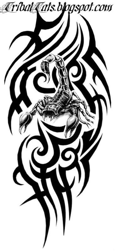 scorpion tattoo pictures. scorpion tattoo pictures.