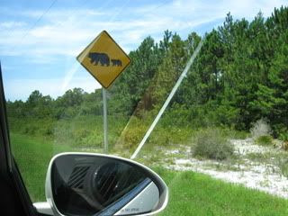 BearCrossing.jpg