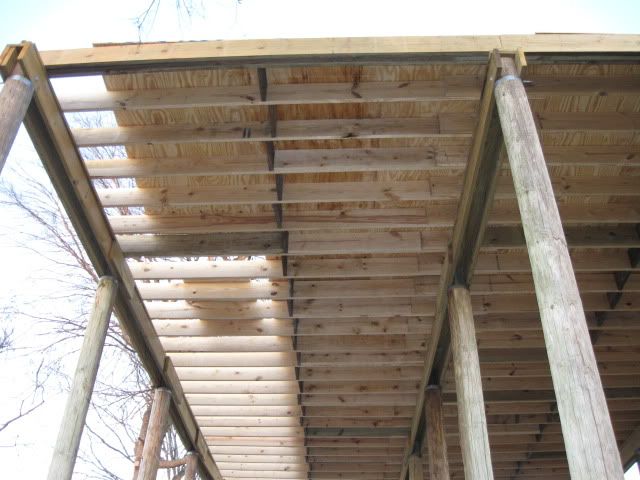 CabinPics2078.jpg