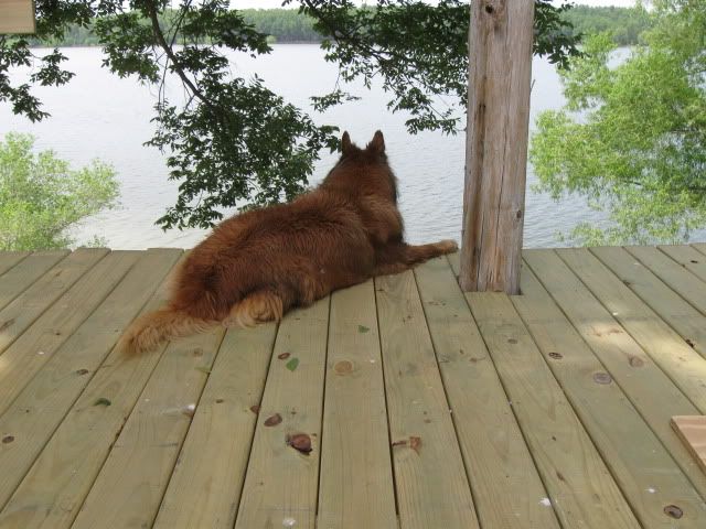 July20th2010Cabin034.jpg