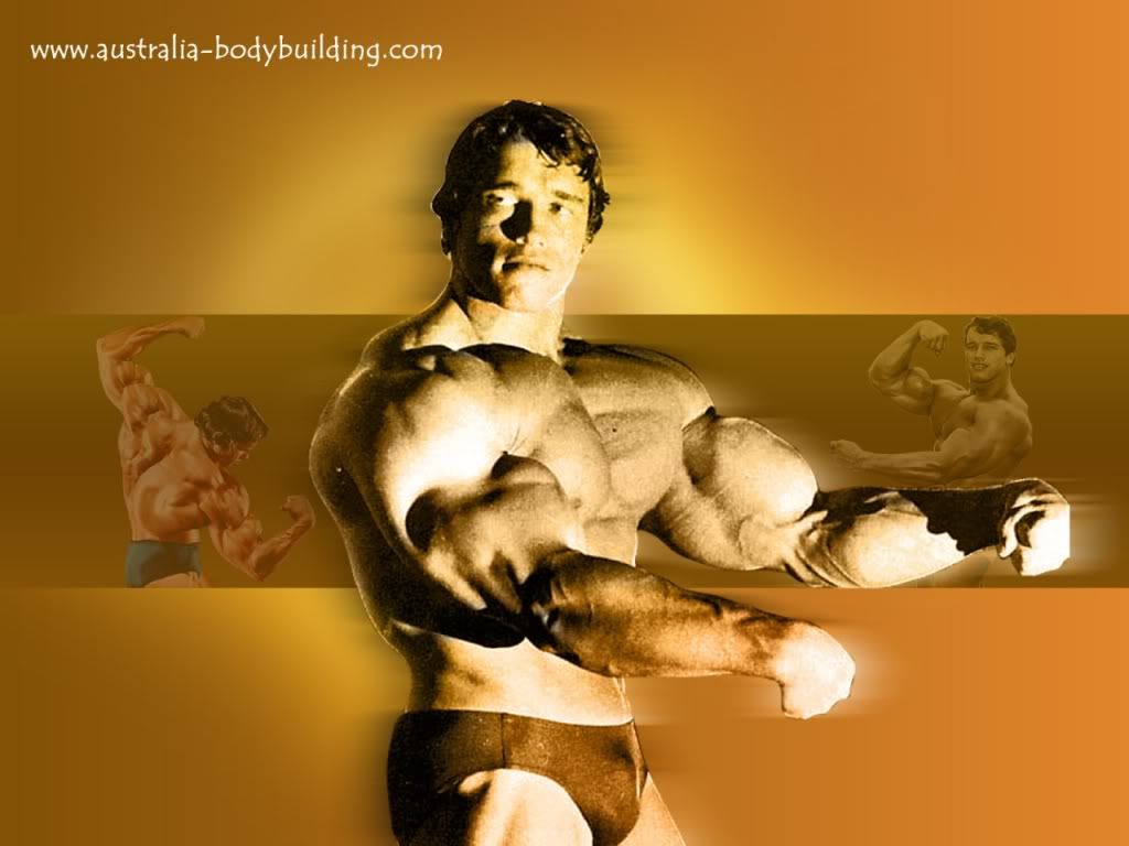 arnold_schwarzenegger_bodybuilding-.jpg