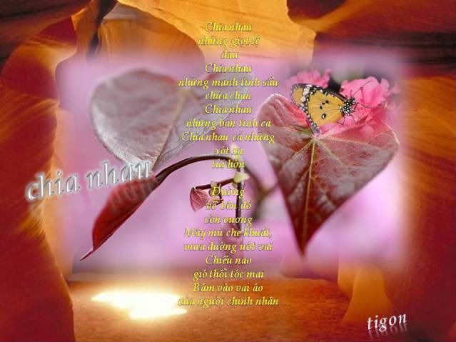 ChiaNhau.jpg image by Tigon_ca