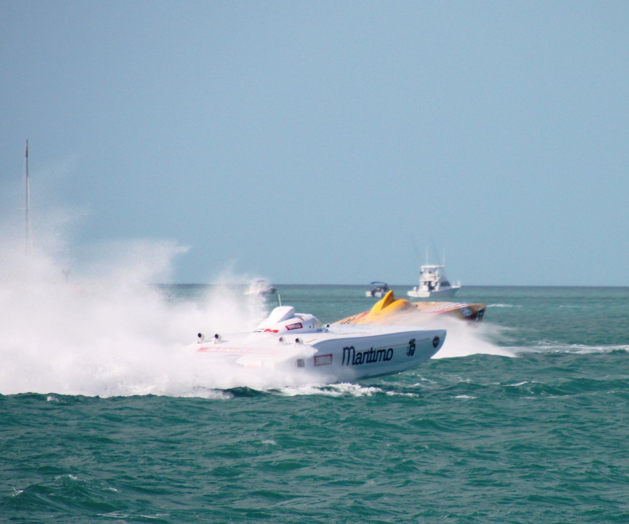 BigCatsModKeywest2011Sunday1057mod-1.jpg