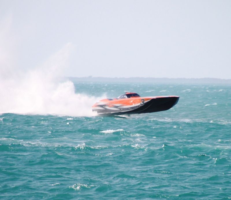 BigCatsModKeywest2011Sunday872mod.jpg