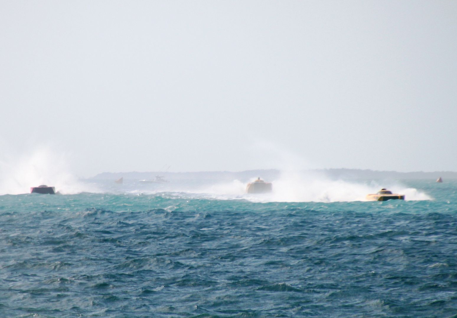 BigCatsModKeywest2011Sunday965mod.jpg