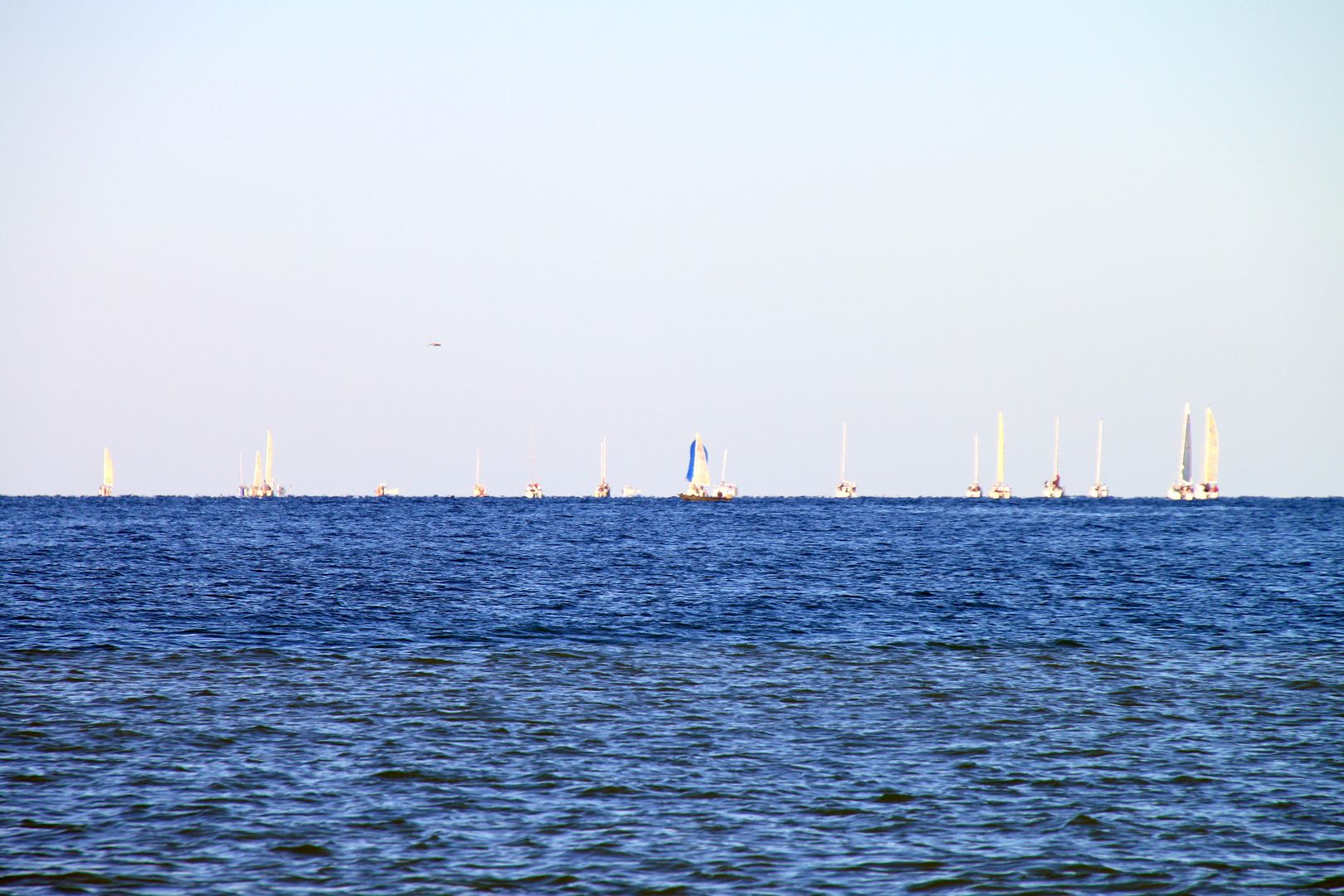 Sat9-15-2040.jpg