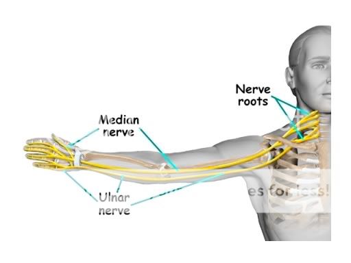 Hand Pain? Check the Neck! | A Chiropractor's Opinion