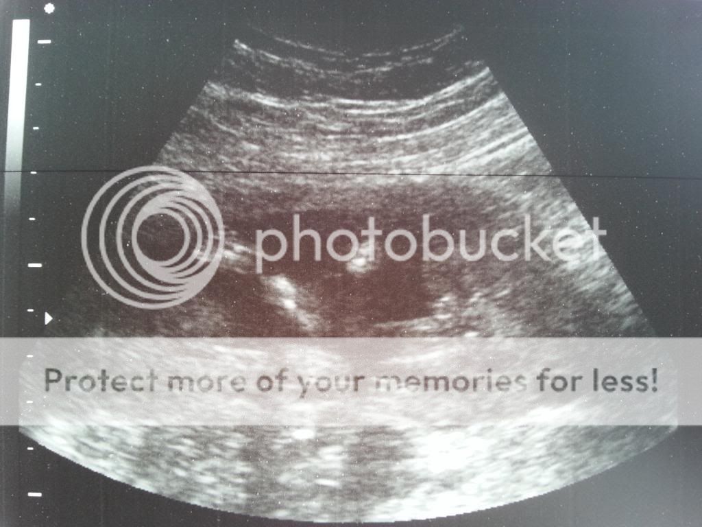 photo IMG_20140510_161658.jpg