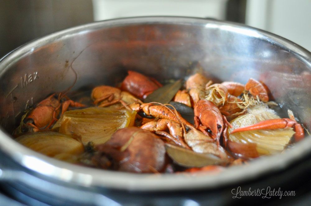 How to Make Crawfish/Shrimp Stock in the Instant Pot | Lamberts Lately