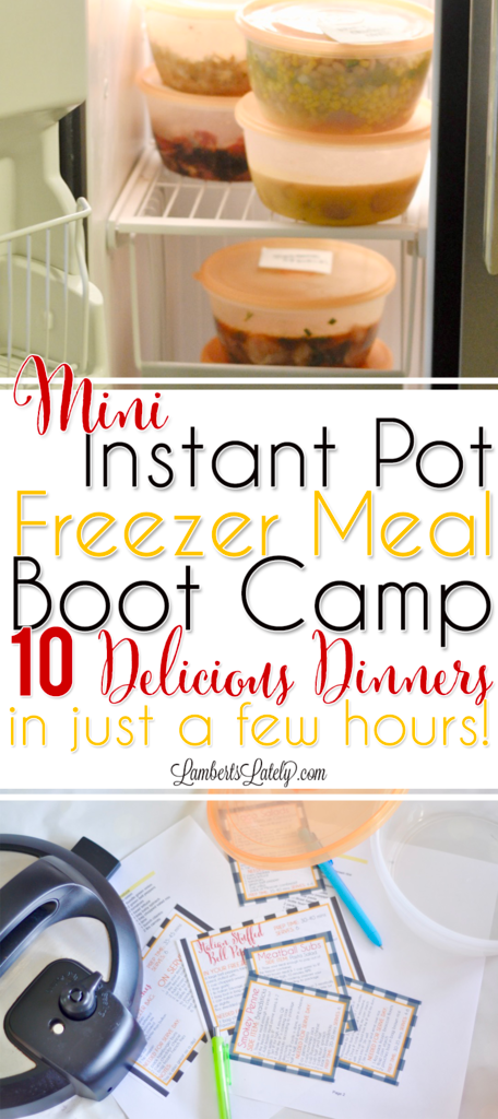 Mini Instant Pot Freezer Meal Boot Camp: 10 Crowd-Pleasing Recipes ...